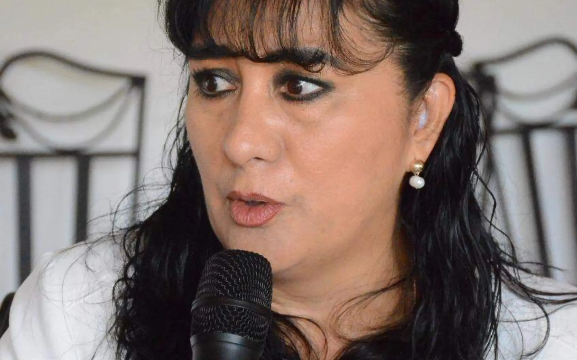 Beatriz Silvia Robles Guti_rrez, diputada federal por Quer_taro